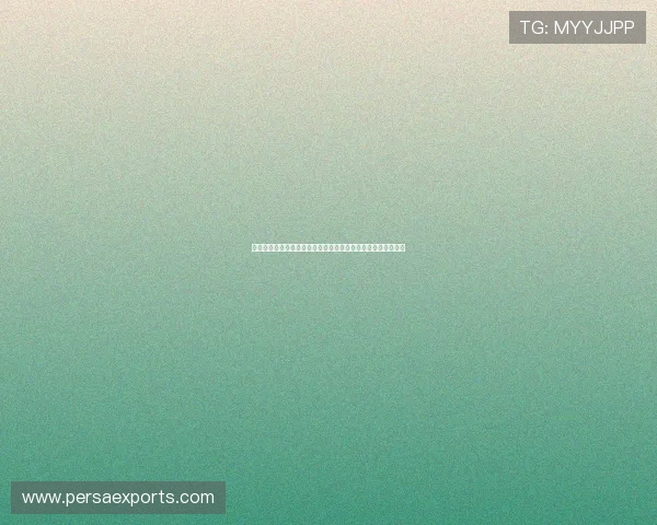 伊拉克与塞内加尔比赛进球瞬间全纪录世界杯精彩片段一网打尽