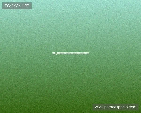 金沙pg电子娱乐打造沉浸式世界杯体验，助力球迷畅享赛事精彩瞬间